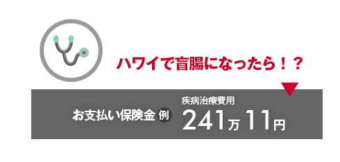 ハワイで盲腸になったら！？→お支払い保険金例：疾病治療費用241万11円