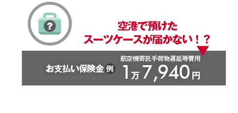 空港で預けたスーツケースが届かない！？→お支払い保険金例：航空機寄託手荷物遅延等費用1万7,940円