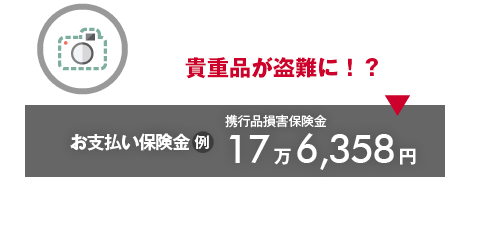 貴重品が盗難に！？→お支払い保険金例：携行品損害保険金17万6,358円