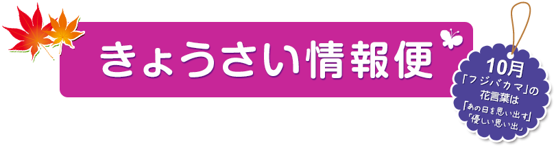 きょうさい情報便